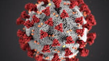 Testovi na novi korona virus proizvodiće se u Srbiji